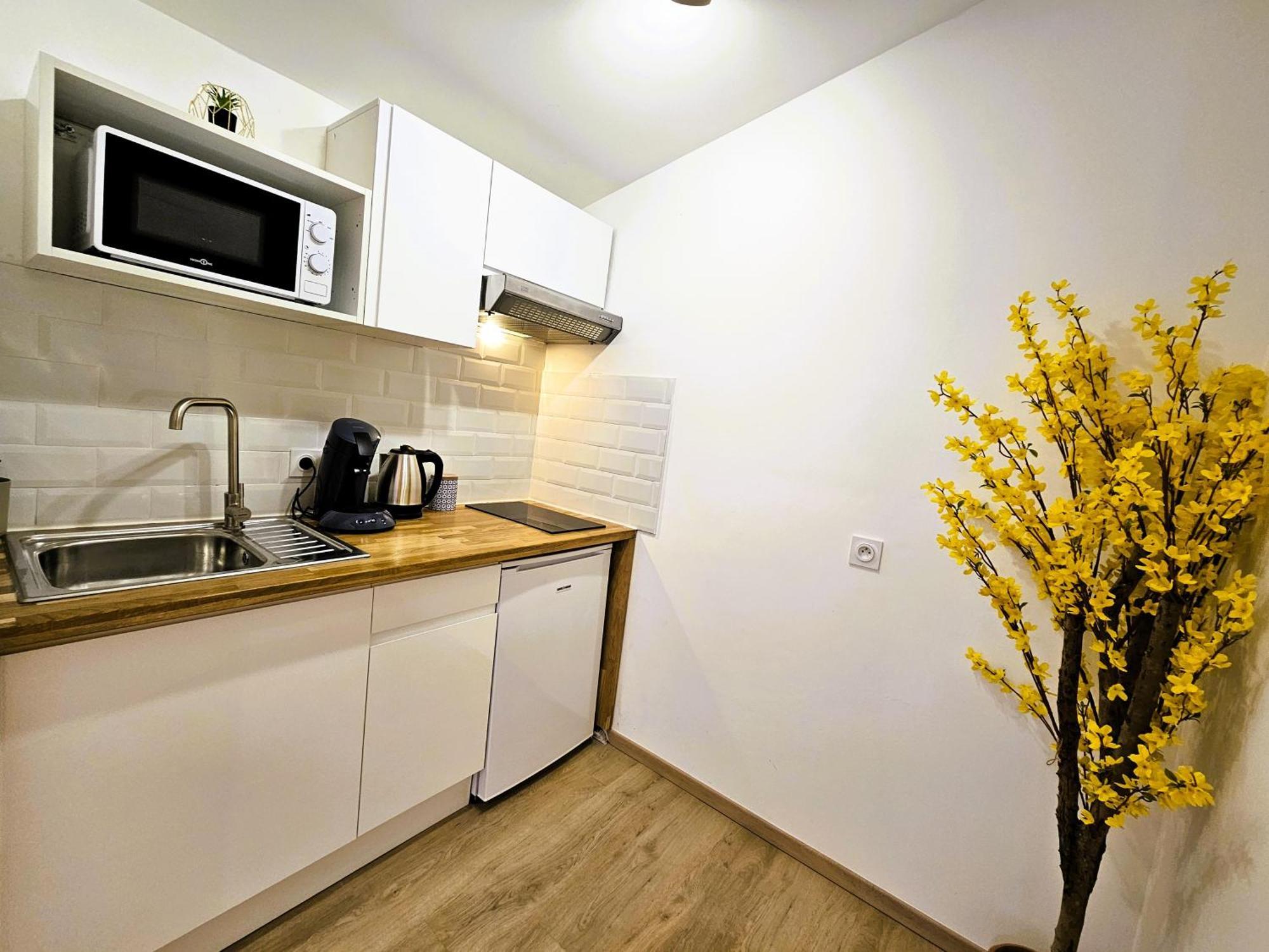 Tout Confort ! Centre-Ville, Climatisation, Parking, Wifi, Calme, Tv Carcassonne Exteriör bild